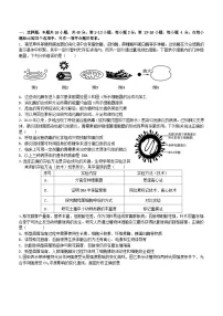 广东诗莞市七校联考2024_2025学年高三生物上学期12月月考