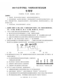 广西南宁市部分学校2024-2025学年高一下学期6月期末考试 生物 PDF版含解析含答案解析