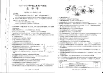 河南省新乡市2024-2025学年高二下学期7月期末考试生物试题（PDF版附解析）