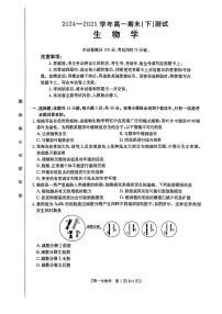 河南省新乡市2024-2025学年高一下学期7月期末考试生物试题（PDF版附解析）