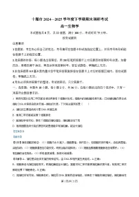 湖北省十堰市2024-2025学年高一下学期期末考试生物试题（Word版附解析）