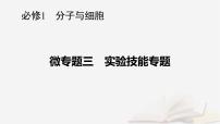 2026届高考生物一轮总复习必修1微专题3实验技能专题课件