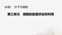 2026届高考生物一轮总复习必修1第3单元细胞的能量供应和利用第5讲影响光合作用的环境因素及其应用课件
