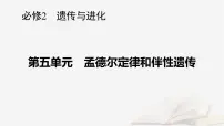 2026届高考生物一轮总复习必修2第5单元孟德尔定律和伴性遗传第1讲基因的分离定律课件