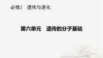 2026届高考生物一轮总复习必修2第6单元遗传的分子基础第2讲DNA分子的结构复制与基因的本质课件