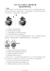 2023-2025北京高三二模[高考模拟]生物汇编：神经调节章节综合