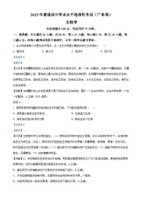 2025年高考真题——生物（广东卷） Word版含解析
