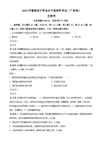 2025年高考真题——生物（广东卷） Word版含解析