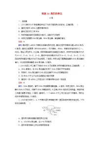 2026届高考生物一轮总复习提能训练练案24基因的表达