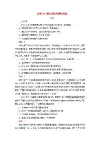 2026届高考生物一轮总复习提能训练练案25基因突变和基因重组