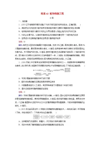 2026届高考生物一轮总复习提能训练练案42植物细胞工程