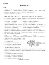 西北名校教研联盟2025届高三下学期2月联考生物试卷（含答案）