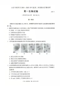 2025北京朝阳高一（下）期末生物试卷 有答案