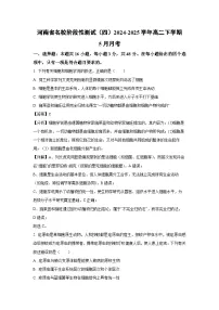 河南省名校阶段性测试（四）2024-2025学年高二下学期5月月考生物试卷（解析版）