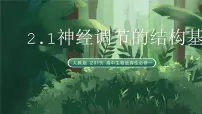 人教版 (2019)选择性必修1神经调节的结构基础完整版ppt课件