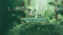 高中生物人教版 (2019)选择性必修1神经冲动的产生和传导公开课ppt课件