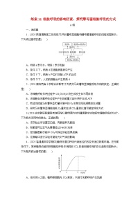 2026届高考生物一轮总复习提能训练练案11细胞呼吸的影响因素探究酵母菌细胞呼吸的方式