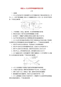 2026届高考生物一轮总复习提能训练练案14光合作用和细胞呼吸的关系