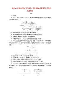 2026届高考生物一轮总复习提能训练练案30神经冲动的产生和传导神经系统的分级调节及人脑的高级功能