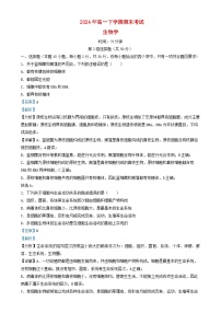 湖南省长沙市2024_2025学年高一生物上学期期末考试试卷含解析