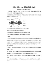 河南省信阳市2025届高三两校联考二模生物试卷（解析版）