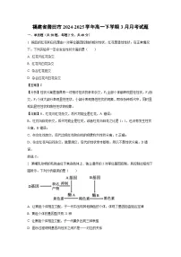 福建省莆田市2024-2025学年高一下学期3月月考生物试卷（解析版）