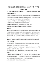 河南省名校阶段性测试（四）2024-2025学年高一下学期5月月考生物试卷（解析版）