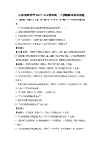 山东省枣庄市2023-2024学年高一下学期期末考试生物试卷（解析版）