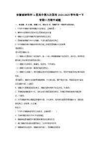 安徽省蚌埠市A层高中第六次联考2024-2025学年高一下学期5月期中生物试卷（解析版）