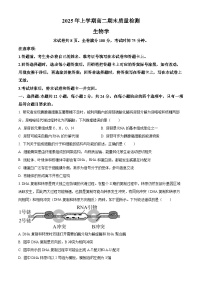 湖南省湘潭市2024-2025学年高二下学期期末质量检测生物试卷（Word版附解析）