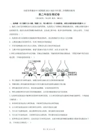 安徽省合肥市普通高中六校联盟2024-2025学年高二下学期期末考试生物试卷（PDF版附答案）