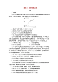 2026届高考生物一轮总复习提能训练练案43动物细胞工程