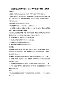 云南省金太阳联考2024-2025学年高二下学期4月期中生物试卷（解析版）