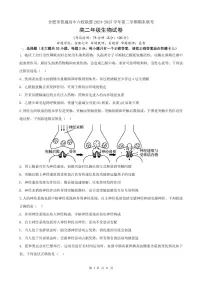 安徽省合肥市普通高中六校联盟2025届新高二下学期7月期末联考-生物试题+答案