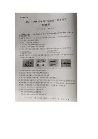 湖南省怀化市2024-2025学年高二下学期6月期末生物试卷（图片版，含解析）