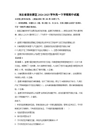 河北省雄安新区2024-2025学年高一下学期期中生物试卷（解析版）