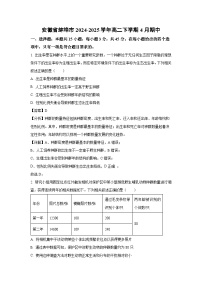 安徽省蚌埠市2024-2025学年高二下学期4月期中生物试卷（解析版）