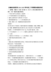 安徽省多校联考2024-2025学年高二下学期期末摸底考试生物试卷（解析版）