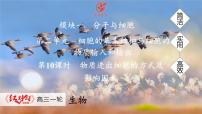 高考生物【一轮复习】课件　第二单元　第十课时　物质进出细胞的方式及影响因素