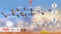 高考生物【一轮复习】课件　第三单元　第一十五课时　光合作用的影响因素及其应用