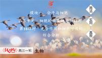 高考生物【一轮复习】课件　第三单元　第一十六课时　光合作用和细胞呼吸的综合分析