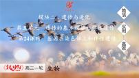 高考生物【一轮复习】课件　第五单元　第二十四课时　基因在染色体上和伴性遗传