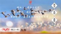 高考生物【一轮复习】课件　第六单元　第二十九课时　基因表达与性状的关系