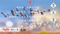 高考生物【一轮复习】课件　第九单元　第48课时　生态系统的物质循环、信息传递及其稳定性