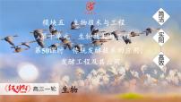 高考生物【一轮复习】课件　第十单元　第50课时　传统发酵技术的应用、发酵工程及其应用