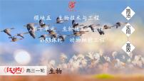 高考生物【一轮复习】课件　第十单元　第53课时　动物细胞工程