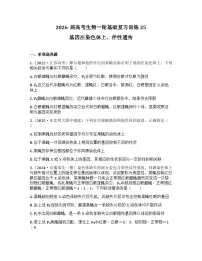 2026届高考生物一轮基础复习训练25 基因在染色体上、伴性遗传