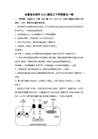 安徽省合肥市2025届高三下学期最后一卷生物试卷（解析版）