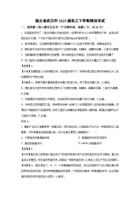 湖北省武汉市2025届高三下学期模拟考试生物试卷（解析版）