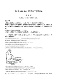 生物-河北省邢台市2024-2025学年高二下学期7月期末测试试题和答案